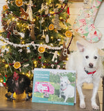 Shop Dog Willie Calendar 2023
